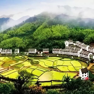 田園綜合體